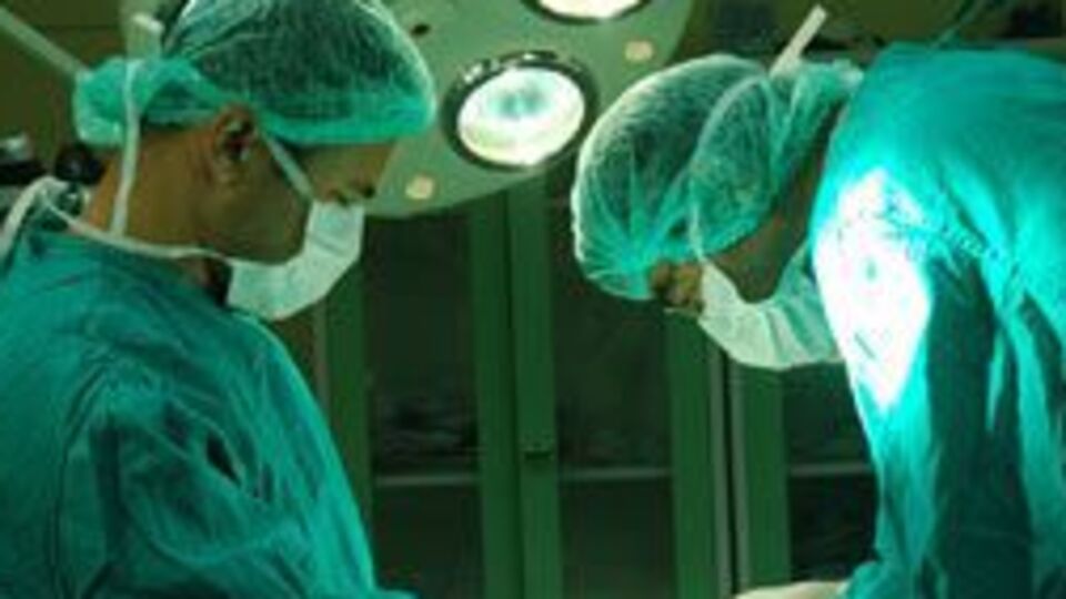 Bu da 'ciğer kardeşliği'!