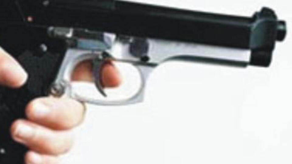 Mardin'de kuma cinayeti!