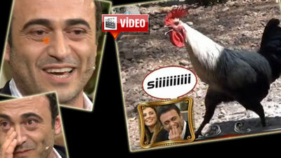 Kutsi gülme krizine girdi!