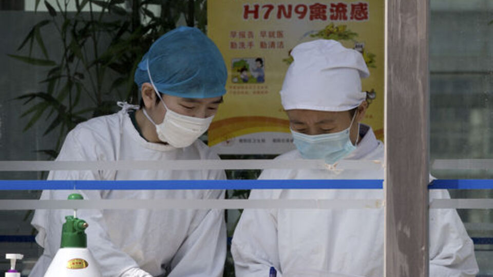 H7N9 virüsü Pekin'de