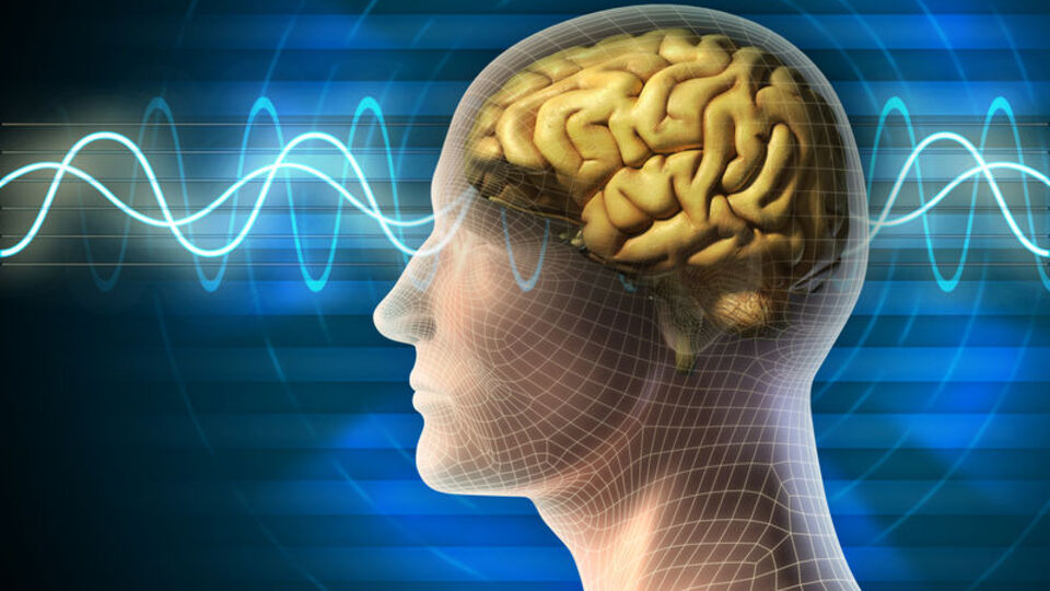 Sağ beyin mi, sol beyin mi?