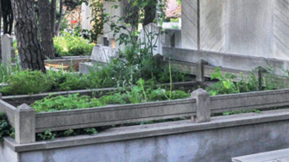 Rezidans fiyatına mezar!