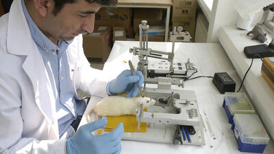 Alzheimer'a Türkiye'de çare aranacak