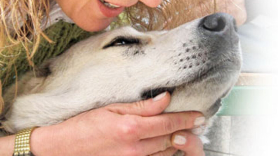 Köpeğe tecavüze 2,5 yıl hapis