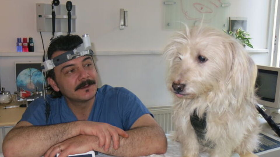 Konuşamıyorlar ama görebilirler