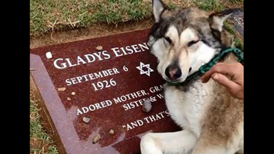 Mezarı başında ağladı