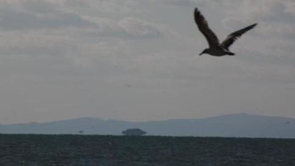 Yerel gazetecinin UFO heyecanı