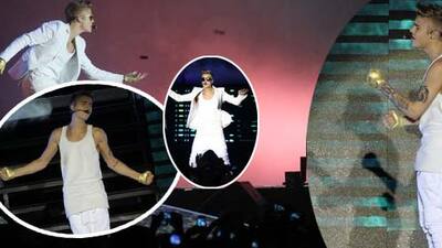 Asparagasın kralı!