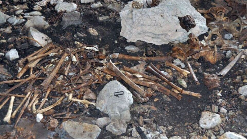 Bir mağara dolusu kemik!