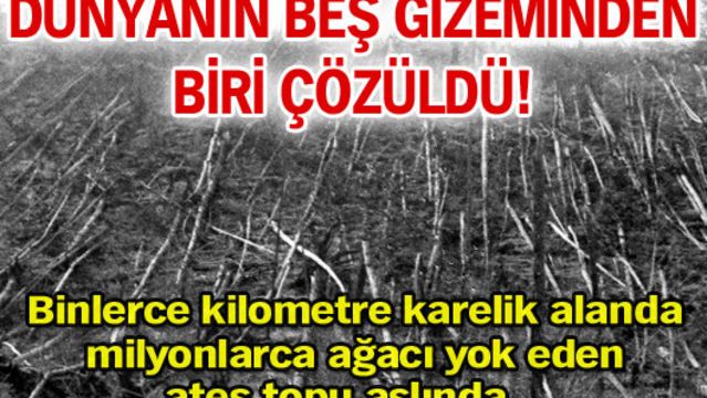 Dünyanın beş gizeminden biri çözüldü!