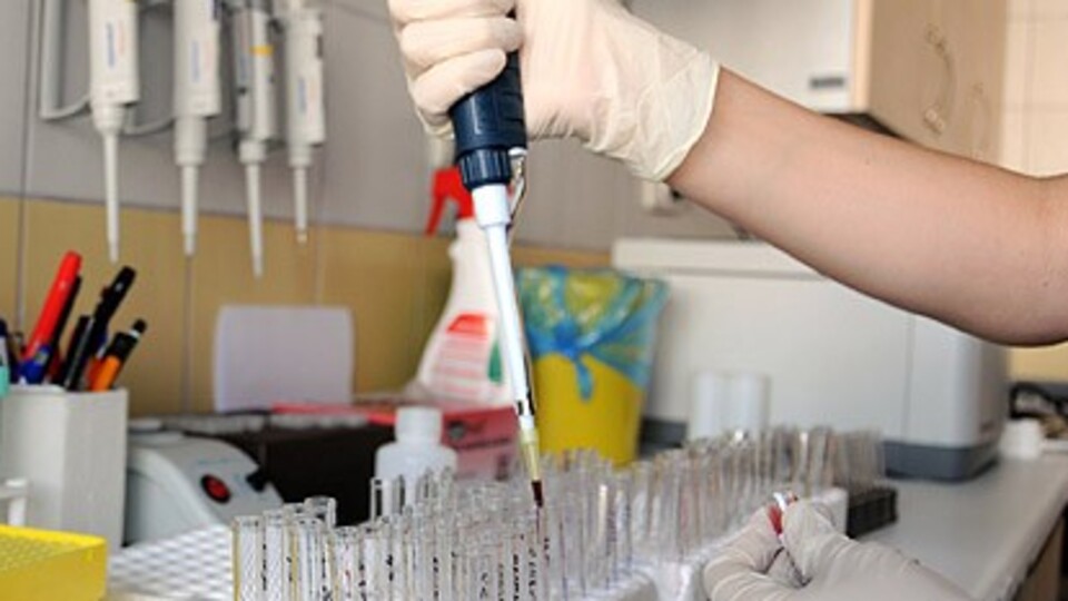 Sara nöbetlerine son verecek ilaç!