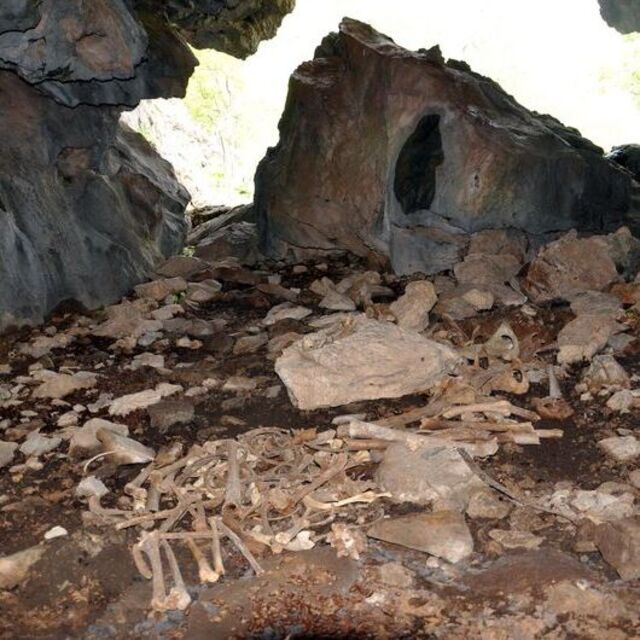Mağarada bulunan kemiklere soruşturma
