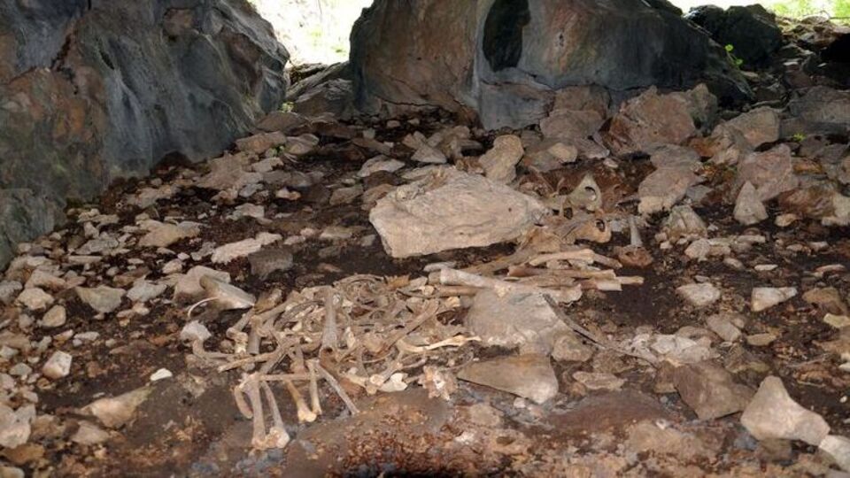 Mağarada bulunan kemiklere soruşturma
