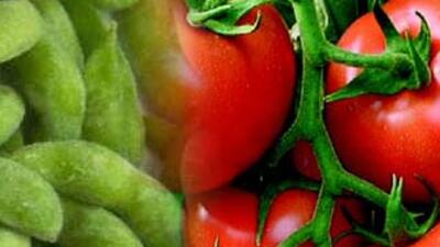 Prostat kanserine karşı soya ve domates