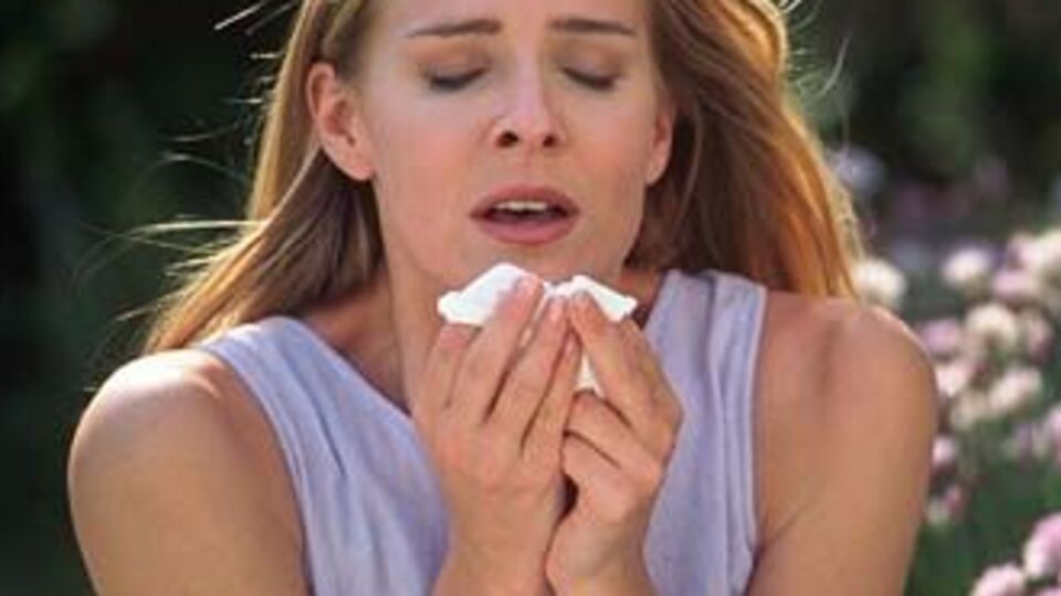 Polenlerden korunmanın yolu!