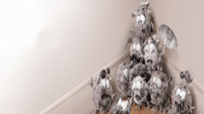 Akıllı süpürge satışa sunuldu!