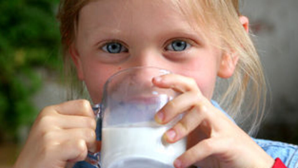 "Her gün 2 bardak süt için"