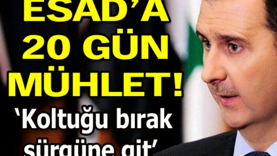 Esad'a 20 gün mühlet