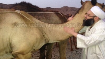 Cübbeli Ahmet Hoca sosyal medyayı salladı