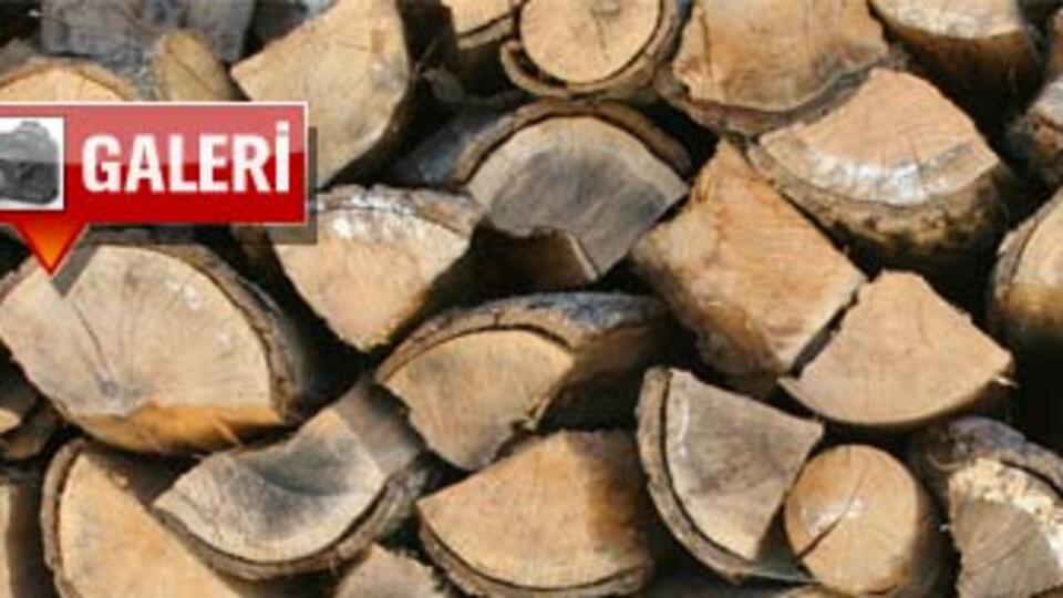 Odunun suyunu çıkardılar!