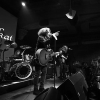 Yüksek Sadakat yaza hızlı girdi