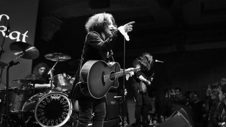 Yüksek Sadakat yaza hızlı girdi