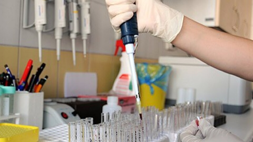 Türk bilim insanlarından büyük başarı!