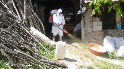Şap virüsünü kedi ve köpekler de taşıyabilir