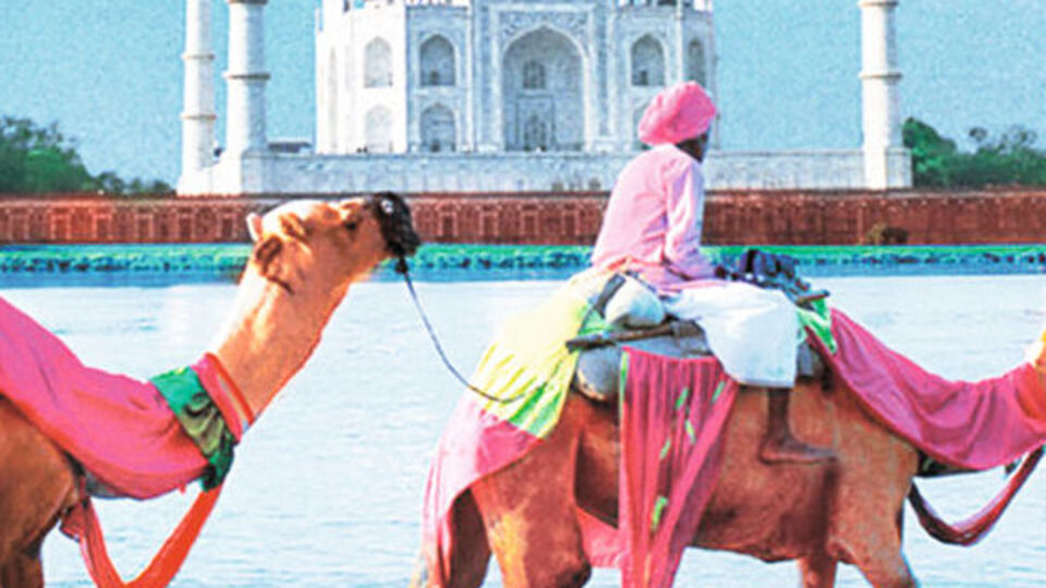 Asabi mizaç ve bakliyat