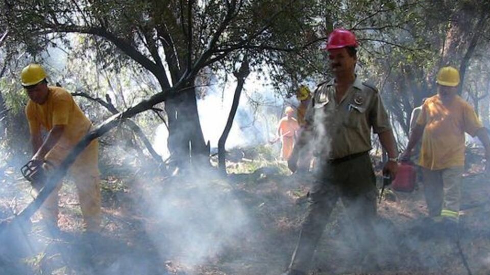 Dalyan'da korkutan yangın