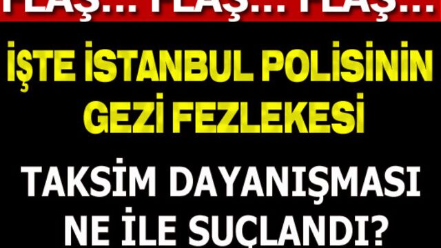 İşte İstanbul polisinin Gezi fezlekesi