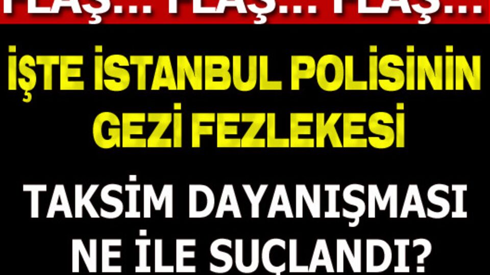 İşte İstanbul polisinin Gezi fezlekesi