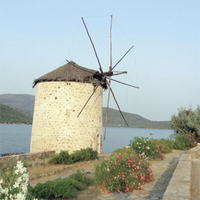 Burnumuzun dibi Midilli