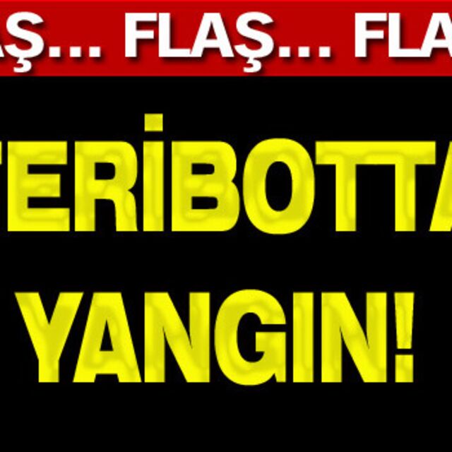 Tekirdağ'da feribotta yangın!