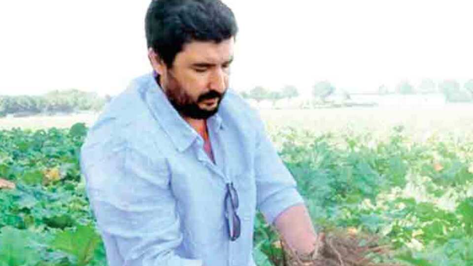 Kara hindibanın beyaz kuzeni