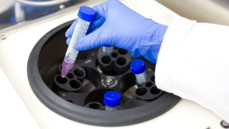 Kemik iliği bankası hayata geçiyor