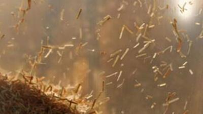 Türkiye 200 milyar lirayı havaya uçurdu!