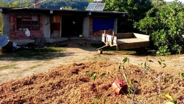 'Bir avuç fındık için değer miydi?'