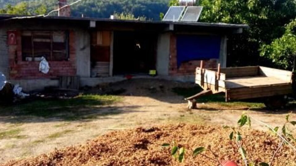 'Bir avuç fındık için değer miydi?'