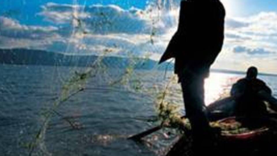 Av sezonu başlıyor!