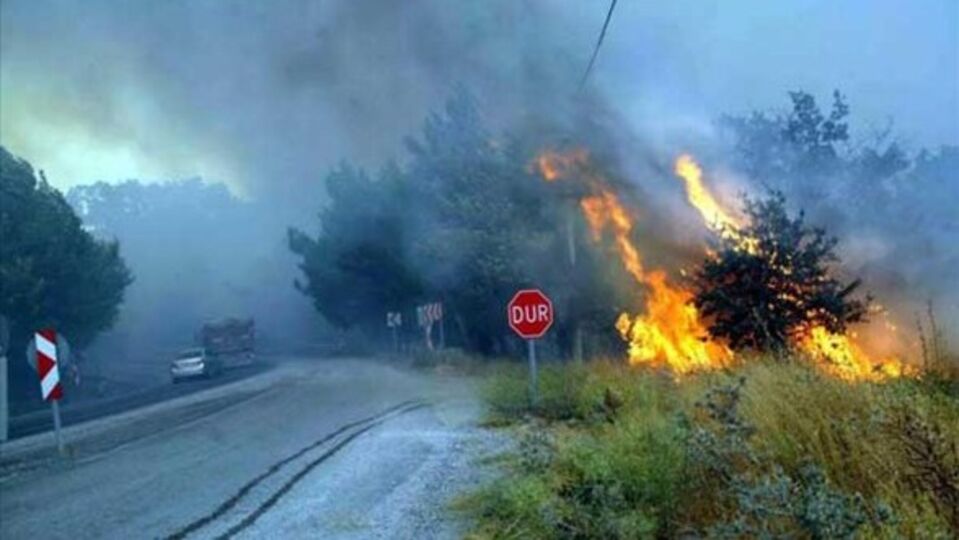 100 hektarlık alan kül oldu