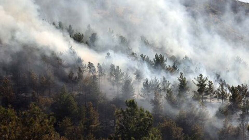 Tokat'ta orman yangını!