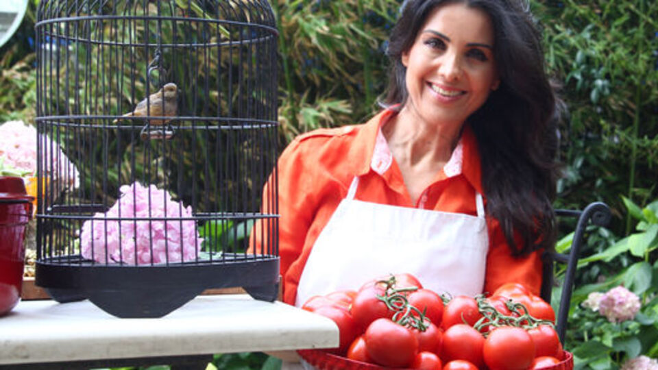 Domateslerden ayrılma hüznü