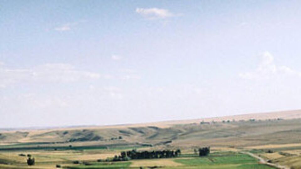 Bedava arazi müjdesi!