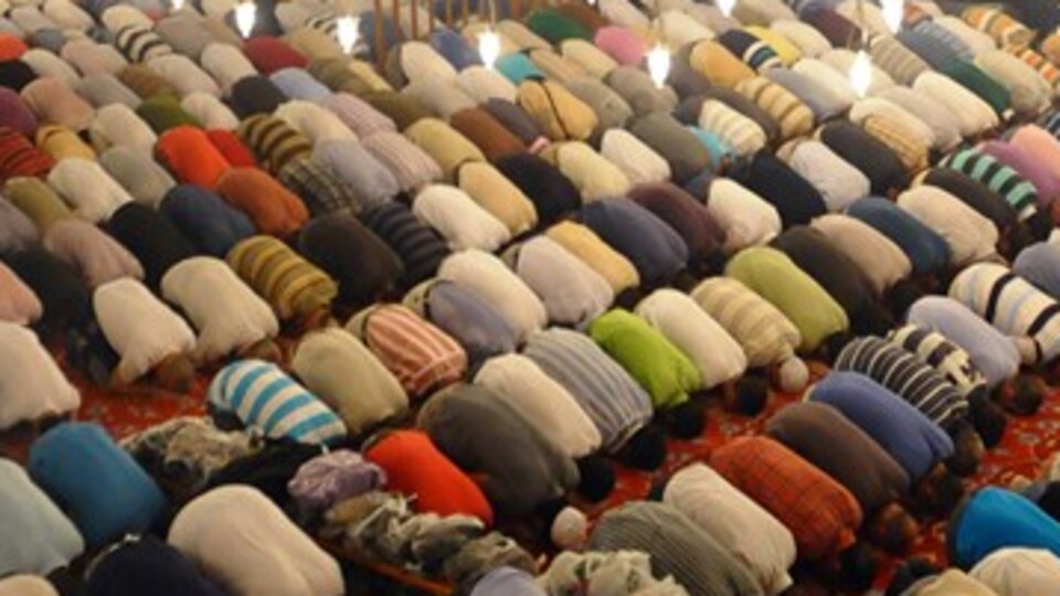 Camide bedava dağıtılıyor