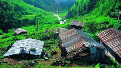 Rize'ye turist akını!