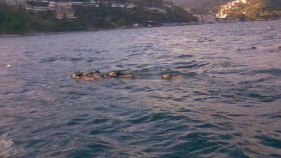 İstanbul Boğazı'nda şok görüntü!