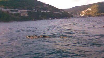 'Terkos'a domuz düştü' asparagasıyla şantaj