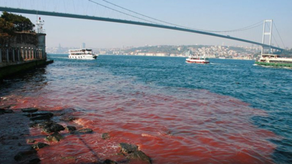 Yine aynı görüntü