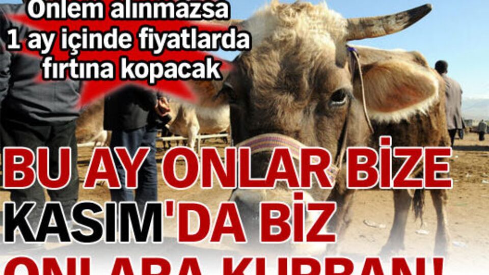 Bu ay onlar bize Kasım'da biz onlara kurban!